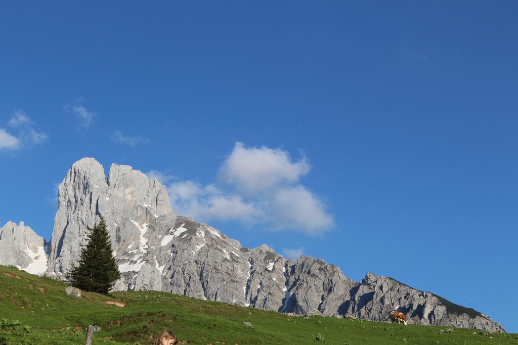 Salzburger Dolomitenhof Annaberg im Lammertal Exterior foto