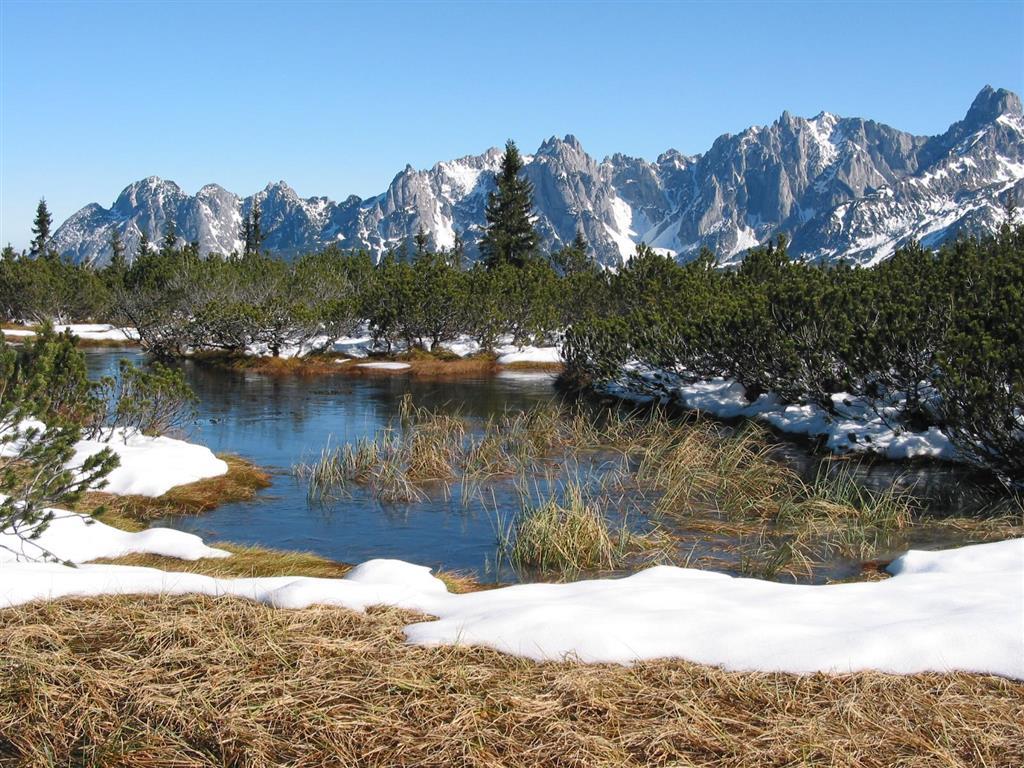 Salzburger Dolomitenhof Annaberg im Lammertal Exterior foto